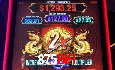 Roulette Table 875Bet